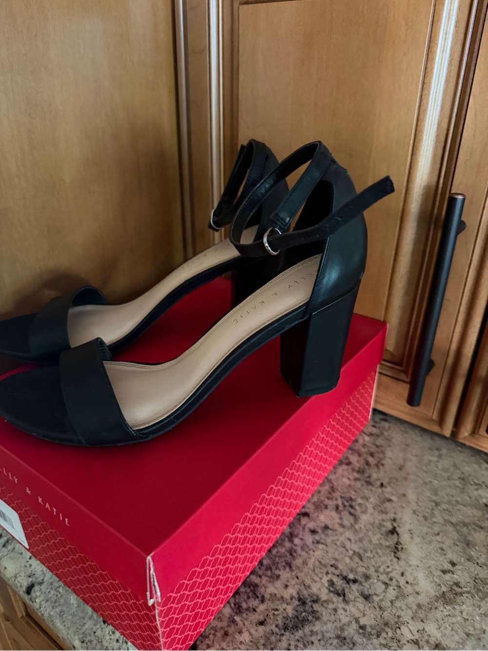 Black Block Heel Ankle Strap Sandals - Women